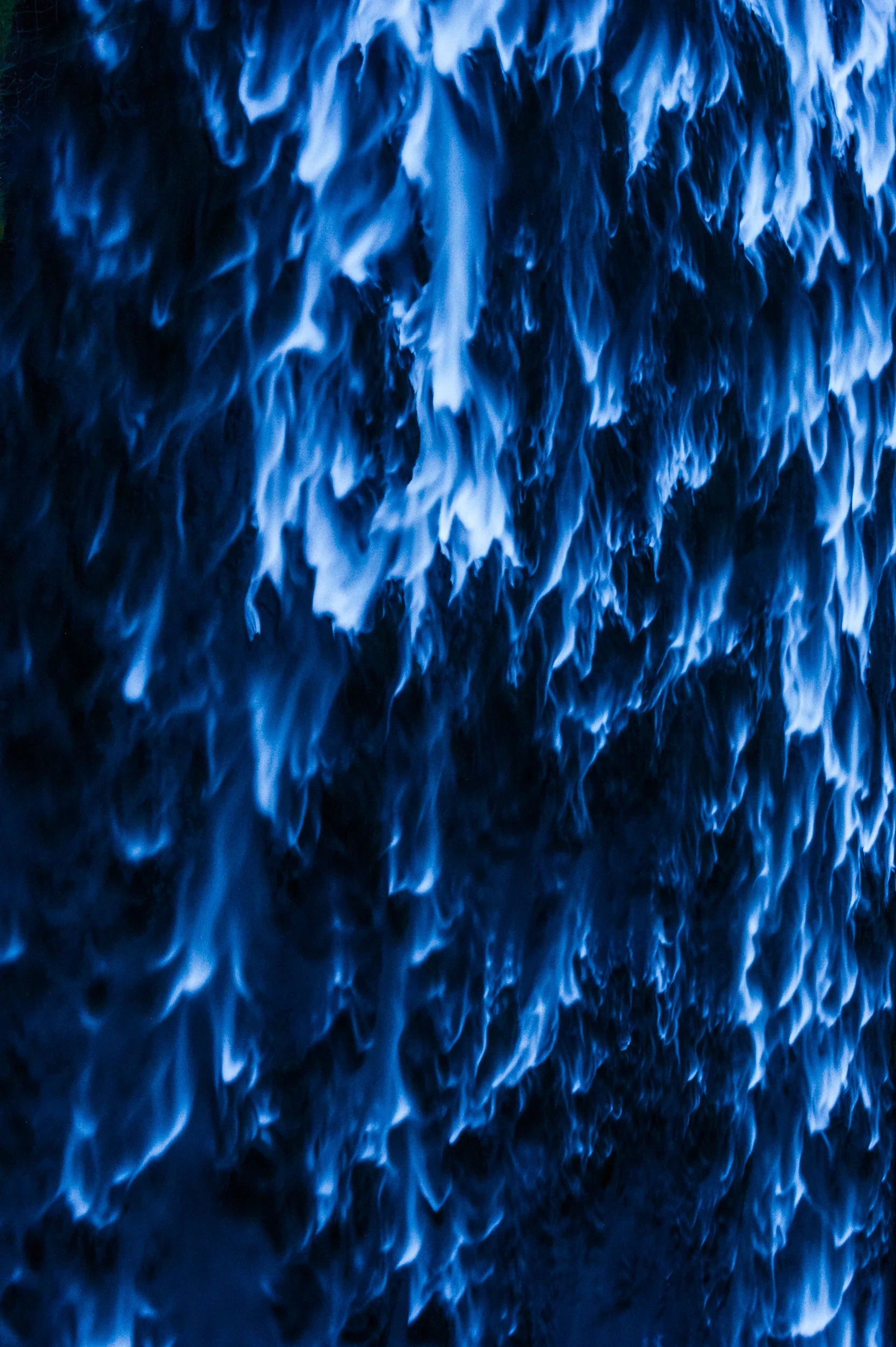 DSC_2768.jpg