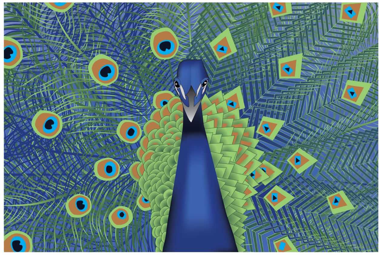 Peacock2_GeovsOrg.png