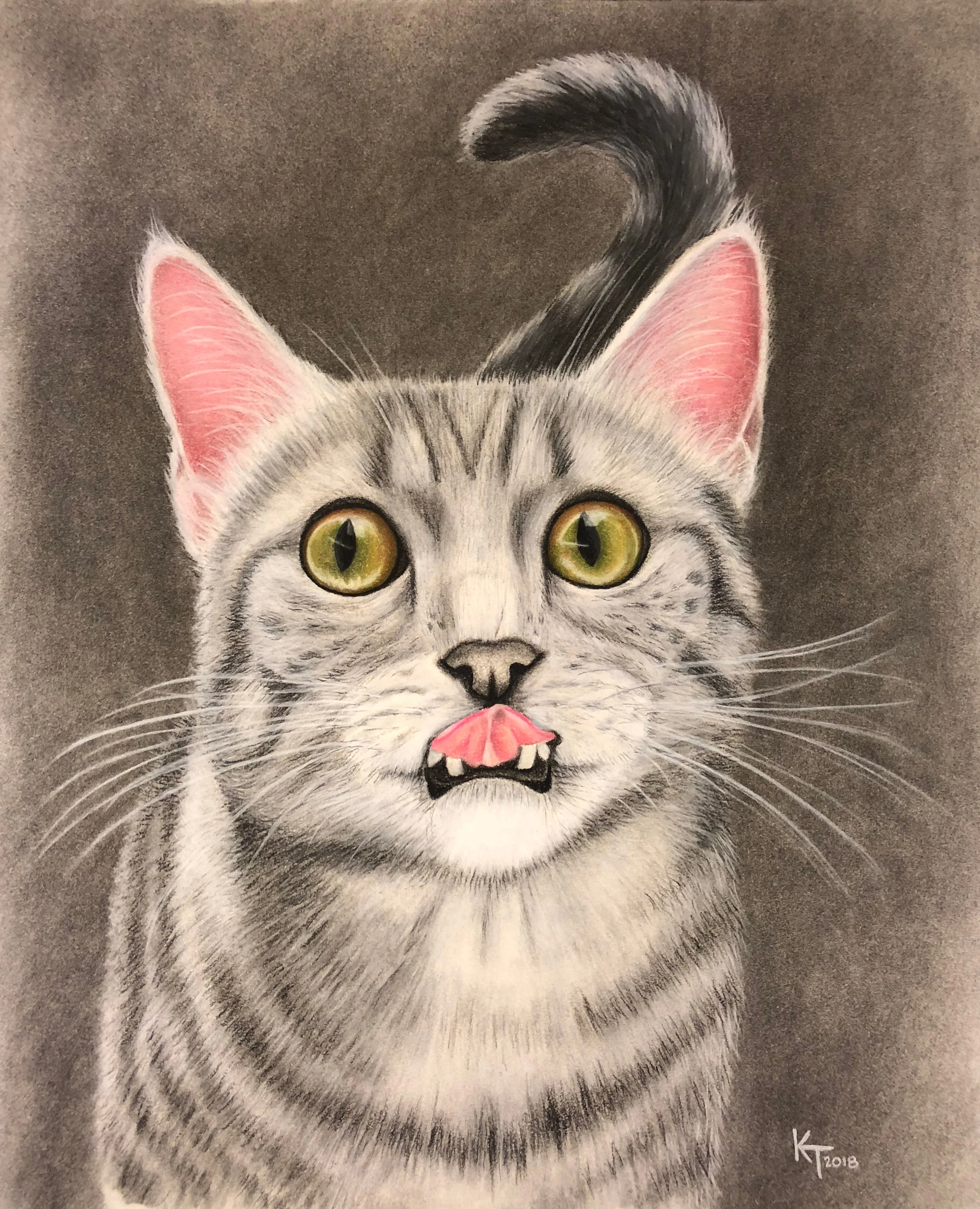 Hungry Cat