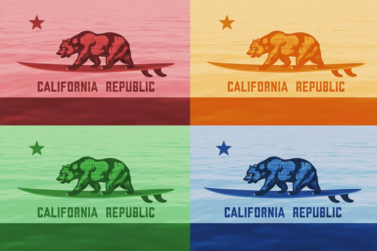 California Surfin' Bear