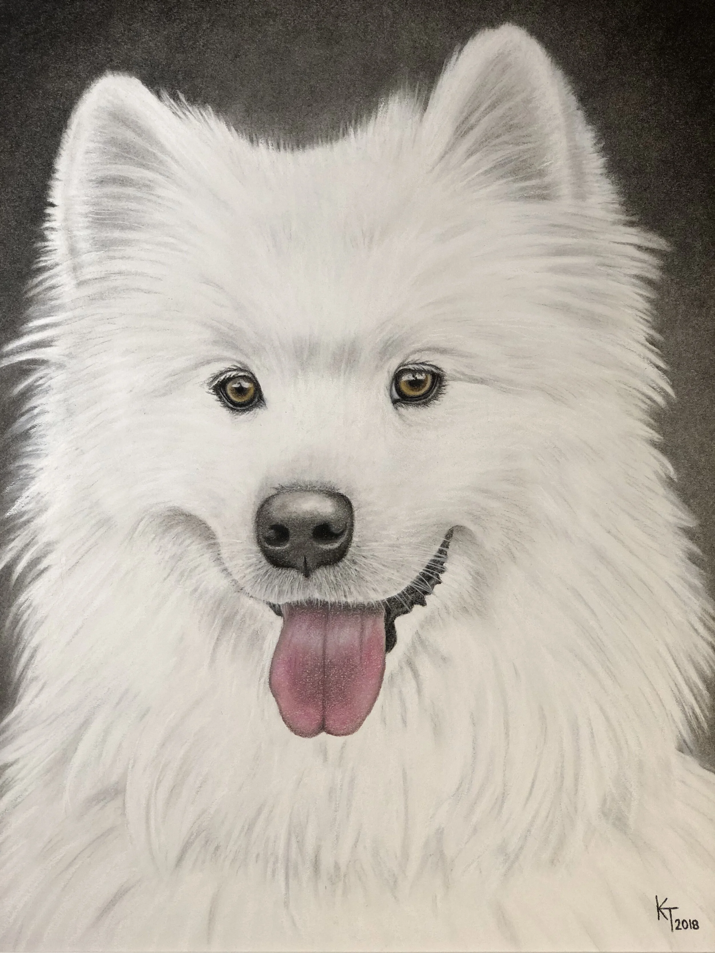 Bear_DogPortrait.jpg