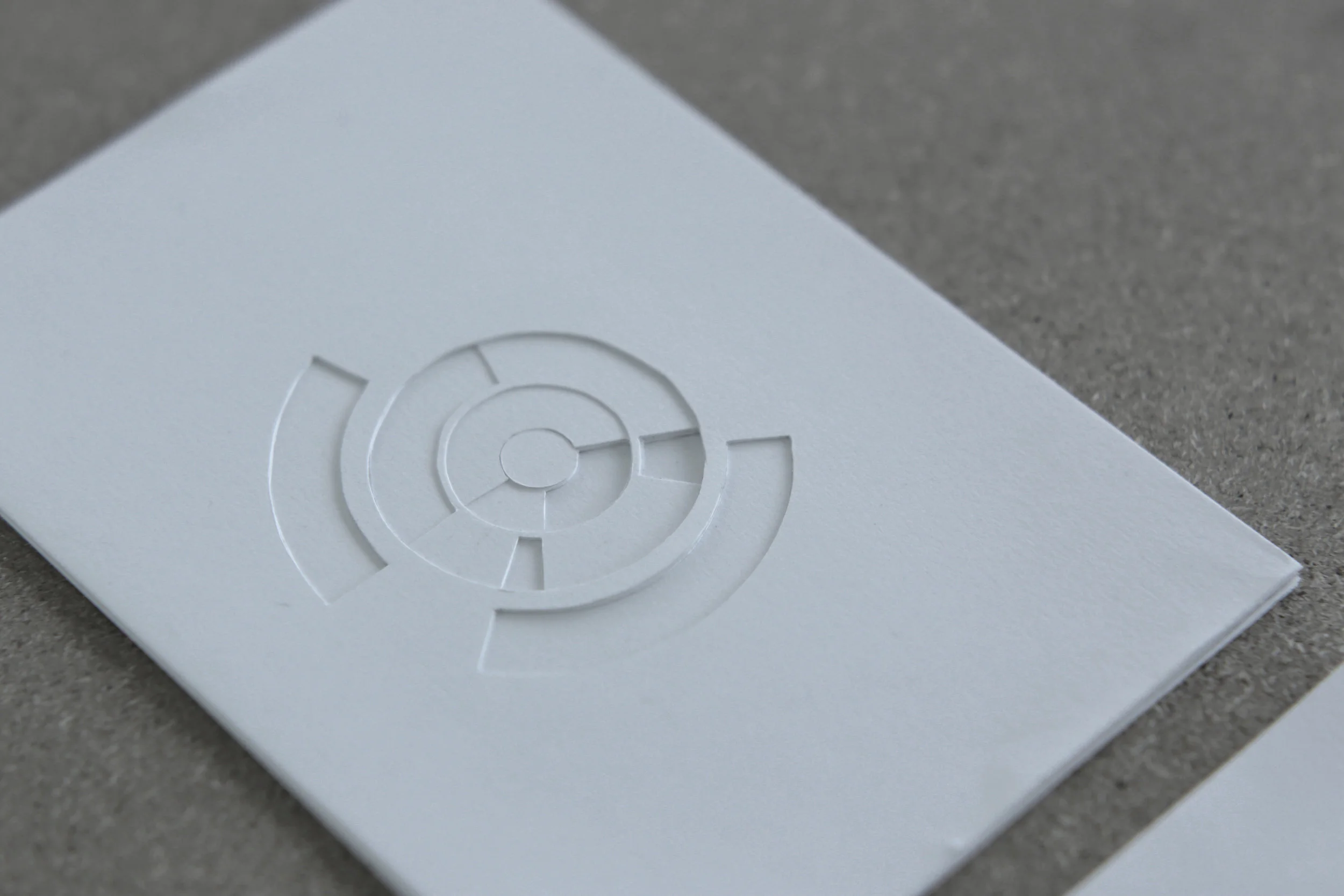 Diagram #01 / Personalised and precise visual record of entire duration and all intervals of labor and production achieved within lifetime. 