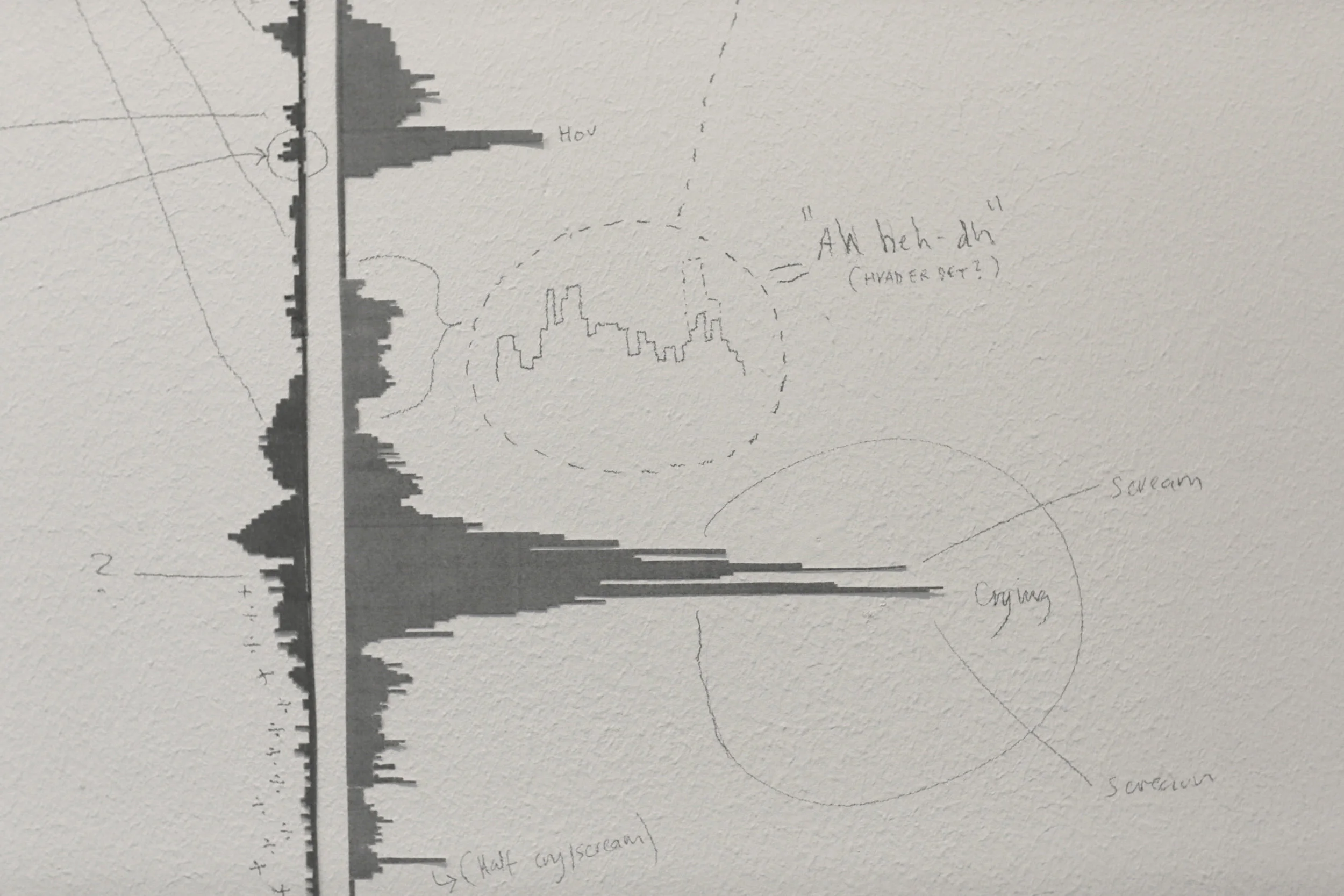 The Mother Project / Two tracks of parallel transmissions, addressed to me by my mother and son.