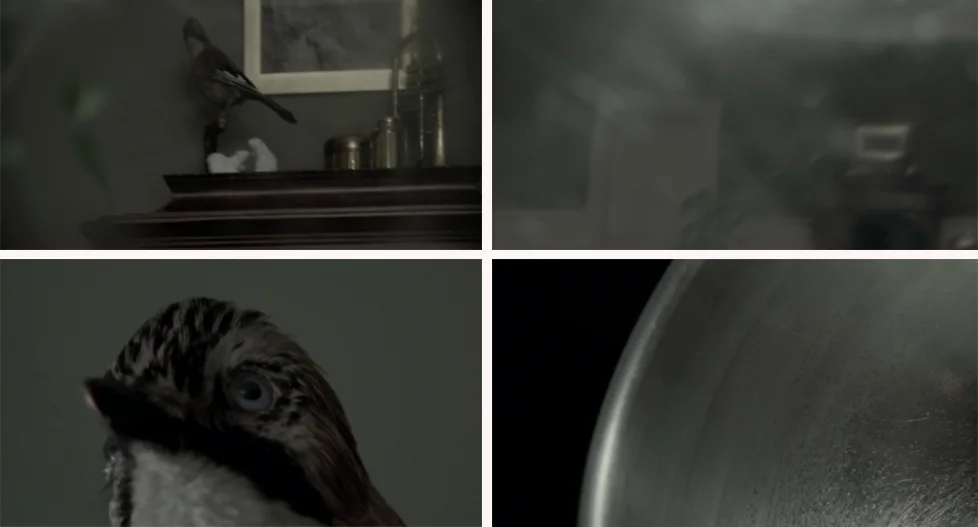A Thing Among Things / Things (III)