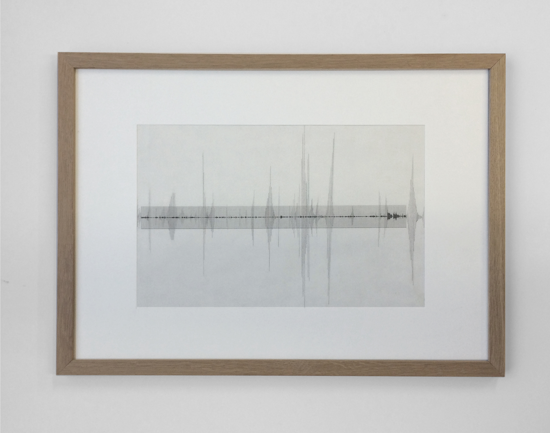The Mother Project / Superimposed imprints of audio files, reflecting similar levels of intense emotions from two sources (my mother and my son)