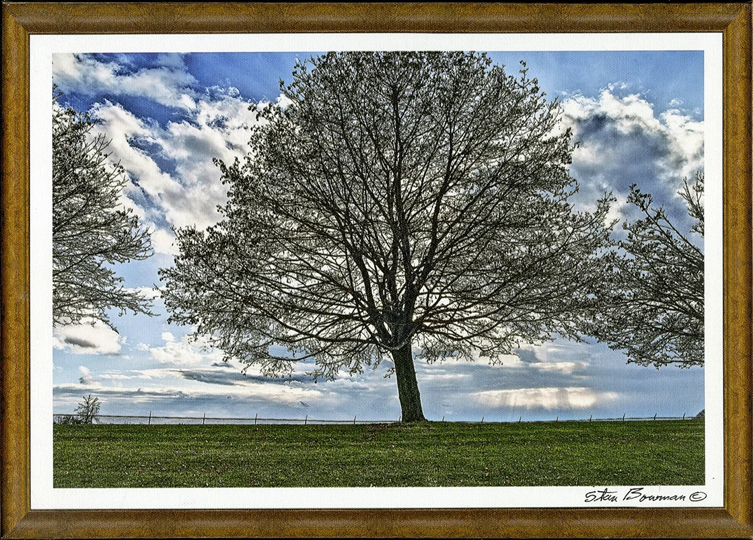 3. Stan Bowman “Near East Hill Plaza” Archival Ink on canvas 11”x15″