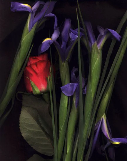 Red Roses with Irises