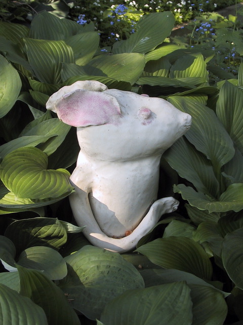 Garden Rabbit