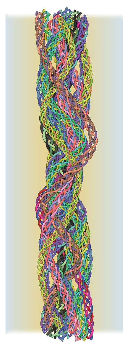 The Braid of Braids, digital print