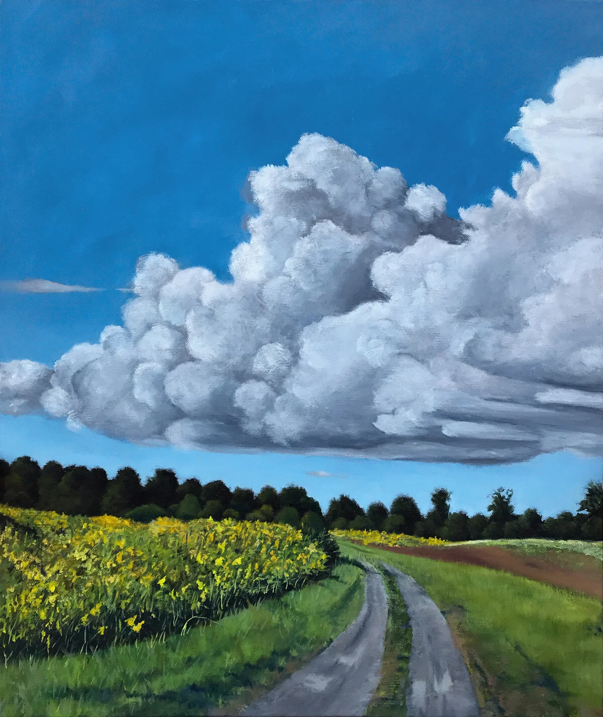 After the Storm, Hayts Road