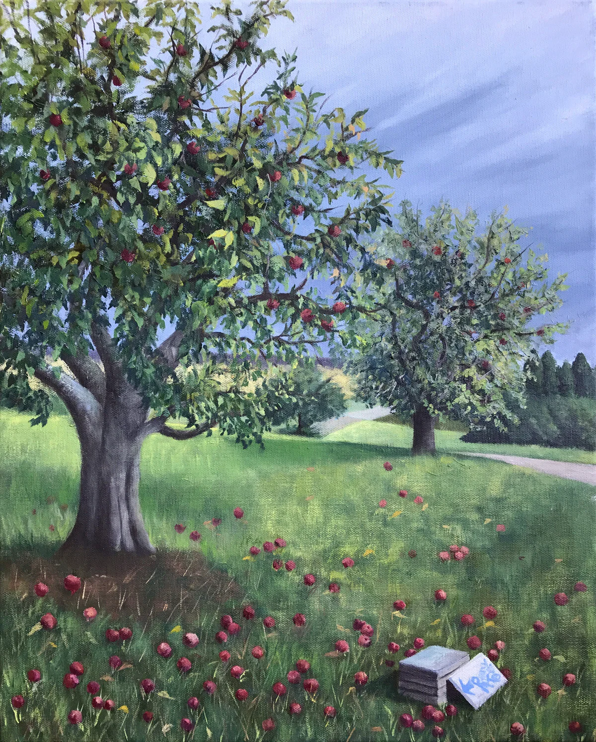 Red Spy, Indian Creek Orchard