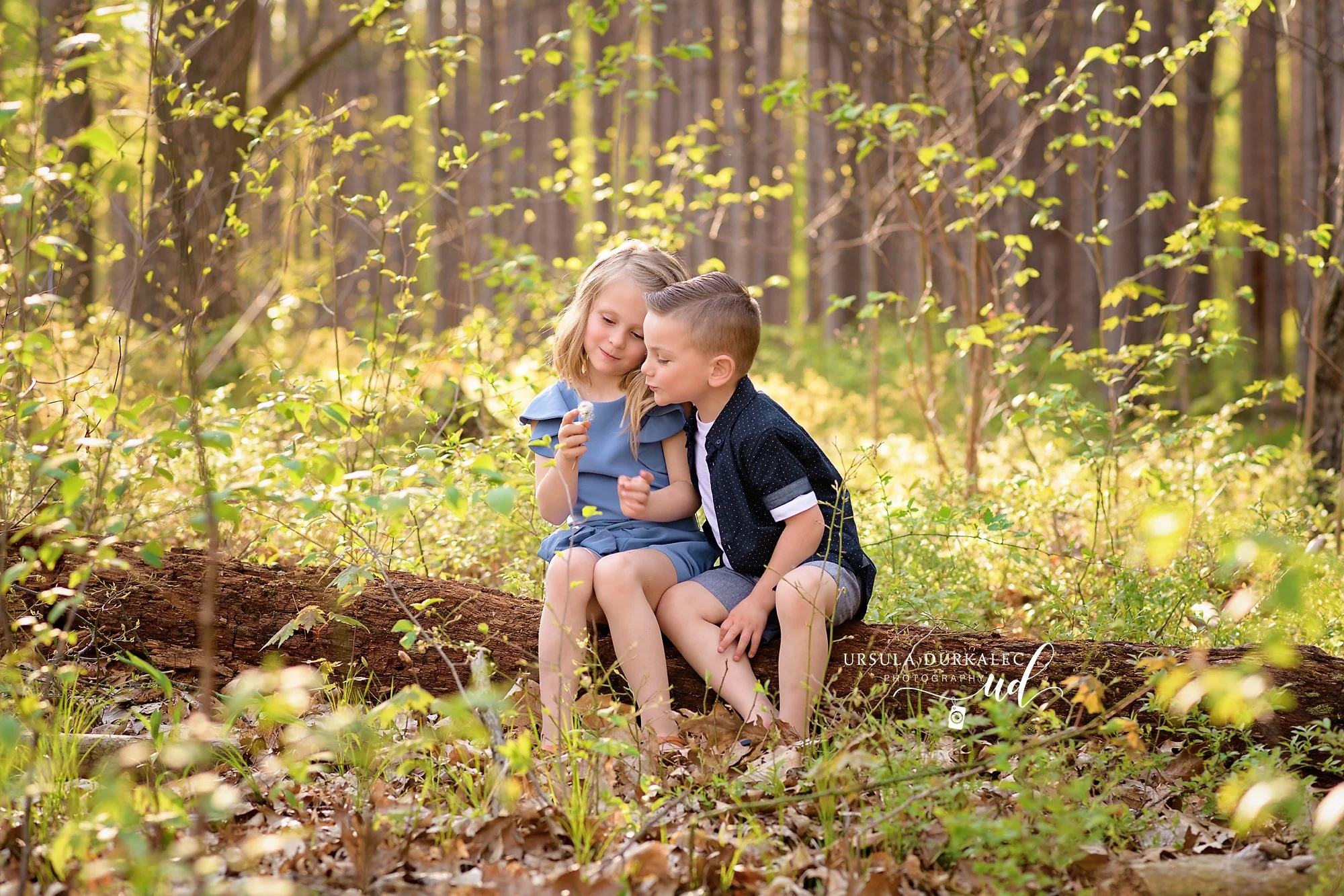To view family packages / pricing click here