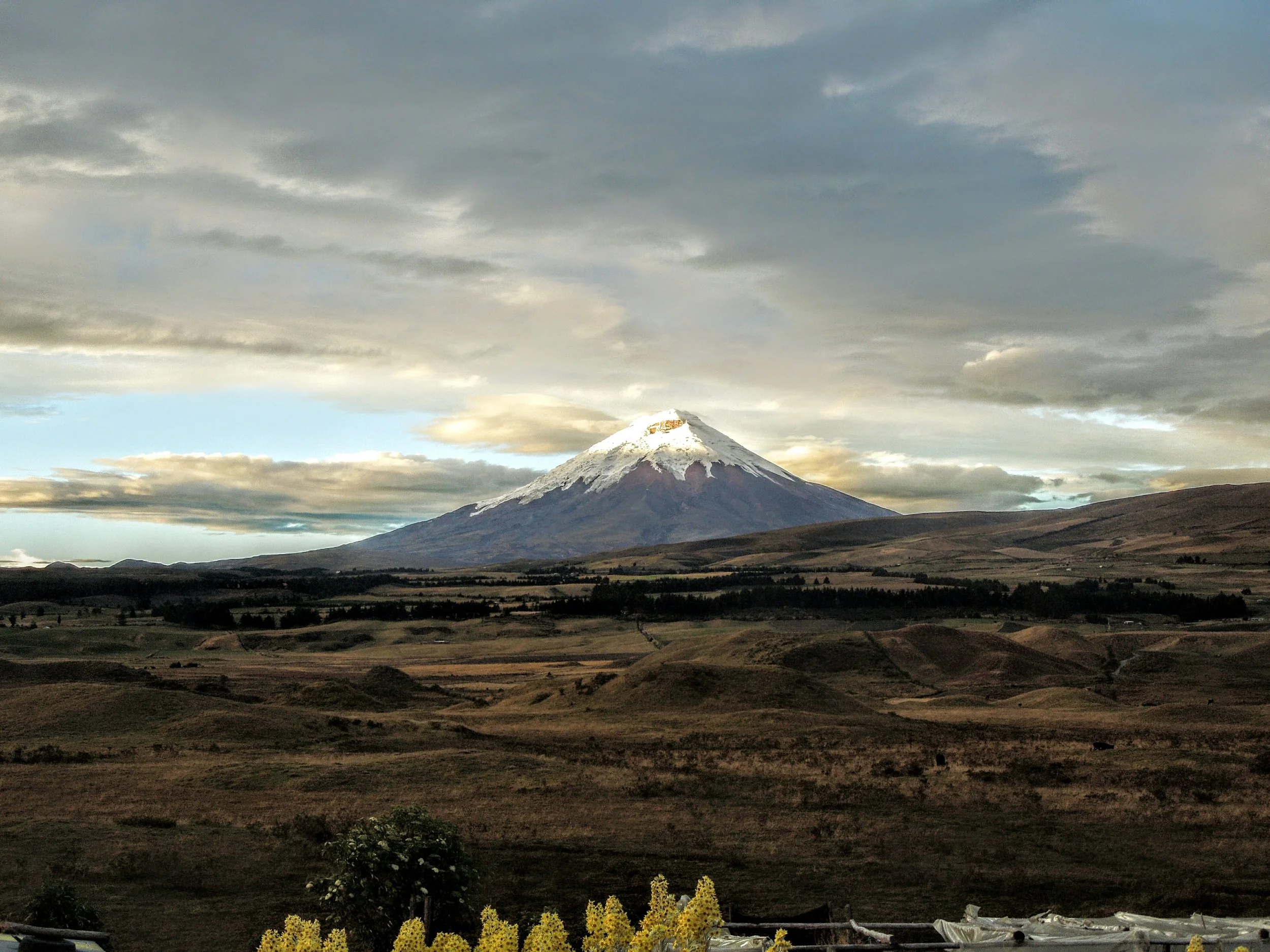 DSCN0975.JPG