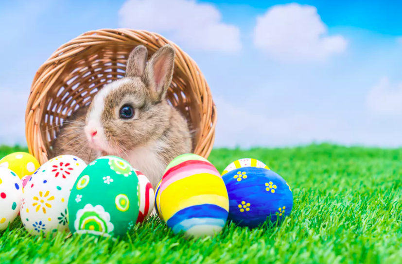 Candy Free Easter Basket Ideas
