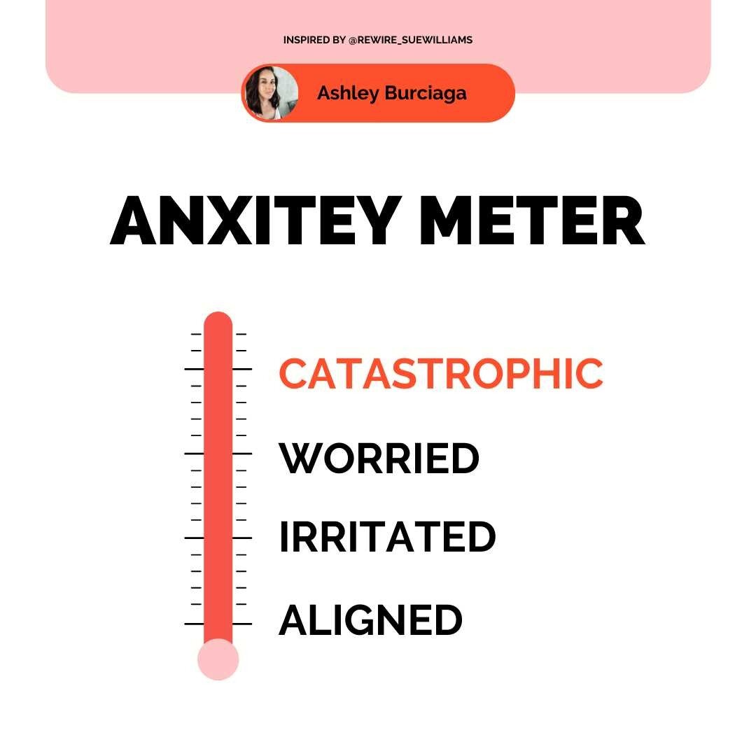 Where are you on the anxiety meter today and what strategies do you have to get back down to &quot;Aligned&quot;?

#unapologeticallyaligned