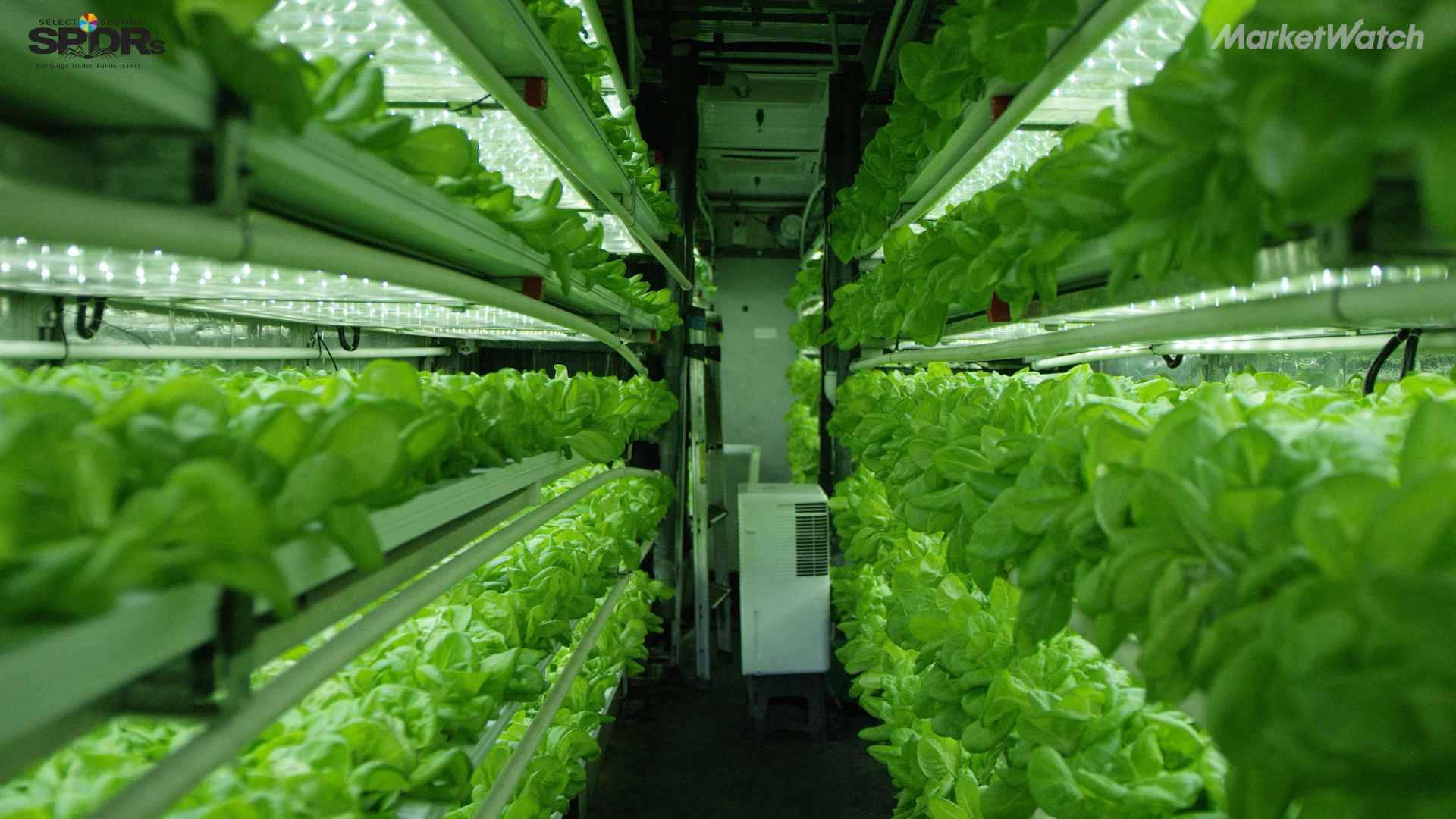 092017_MW_Indoor_Farming.jpg