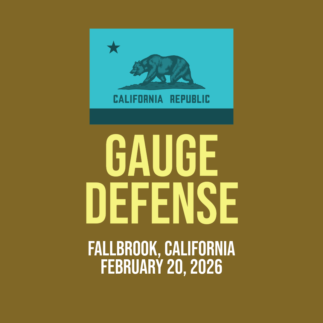 CA GAUGE (3).png