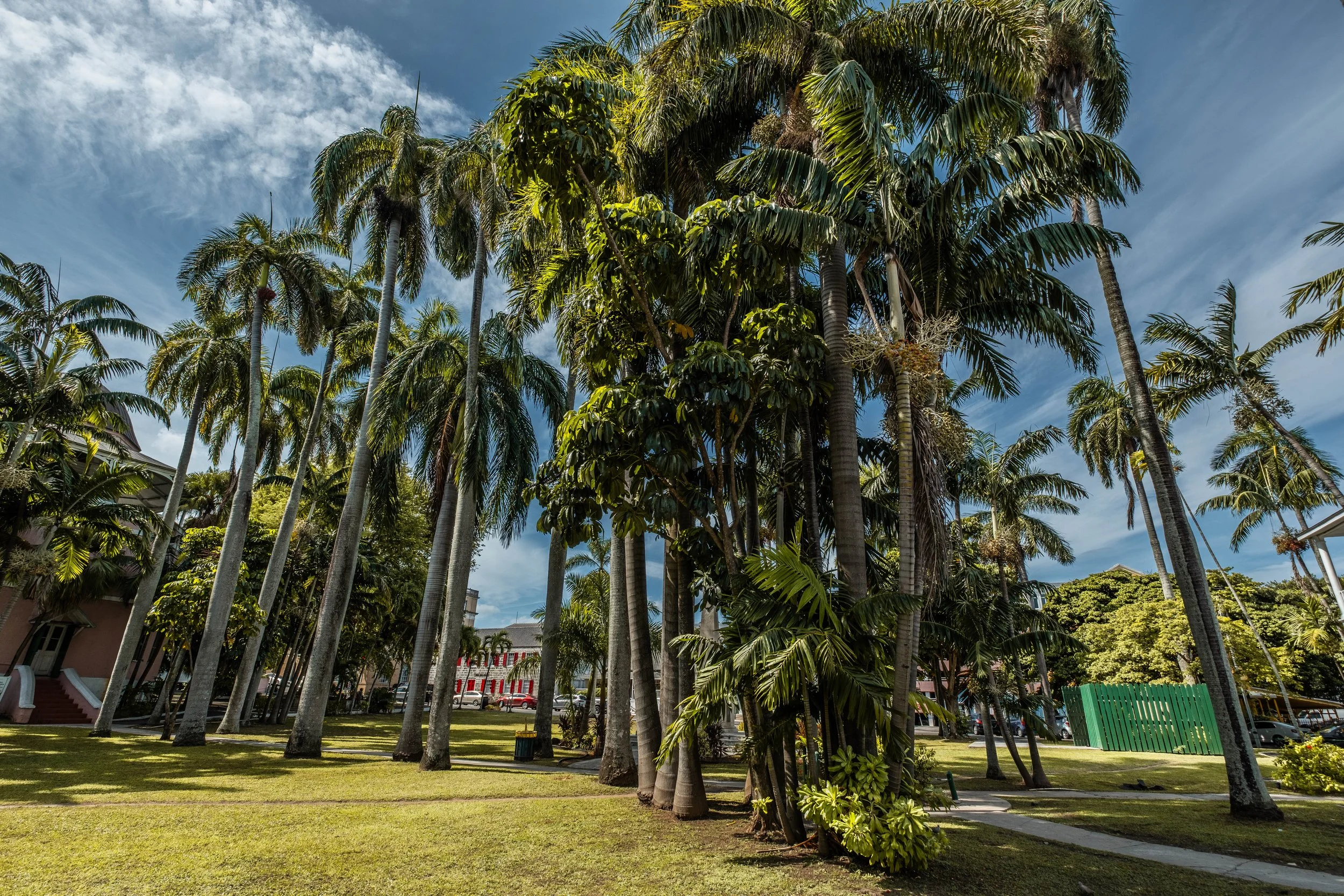Cruise-JTPhoto--32.jpg