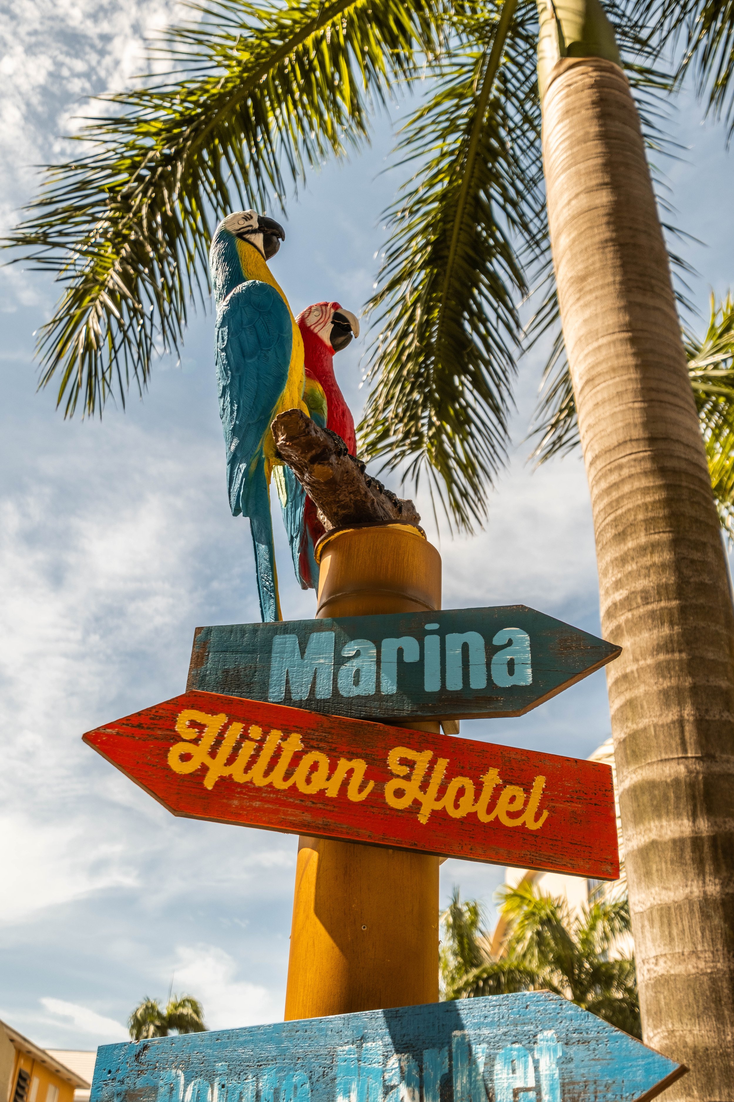 Cruise-JTPhoto--56.jpg