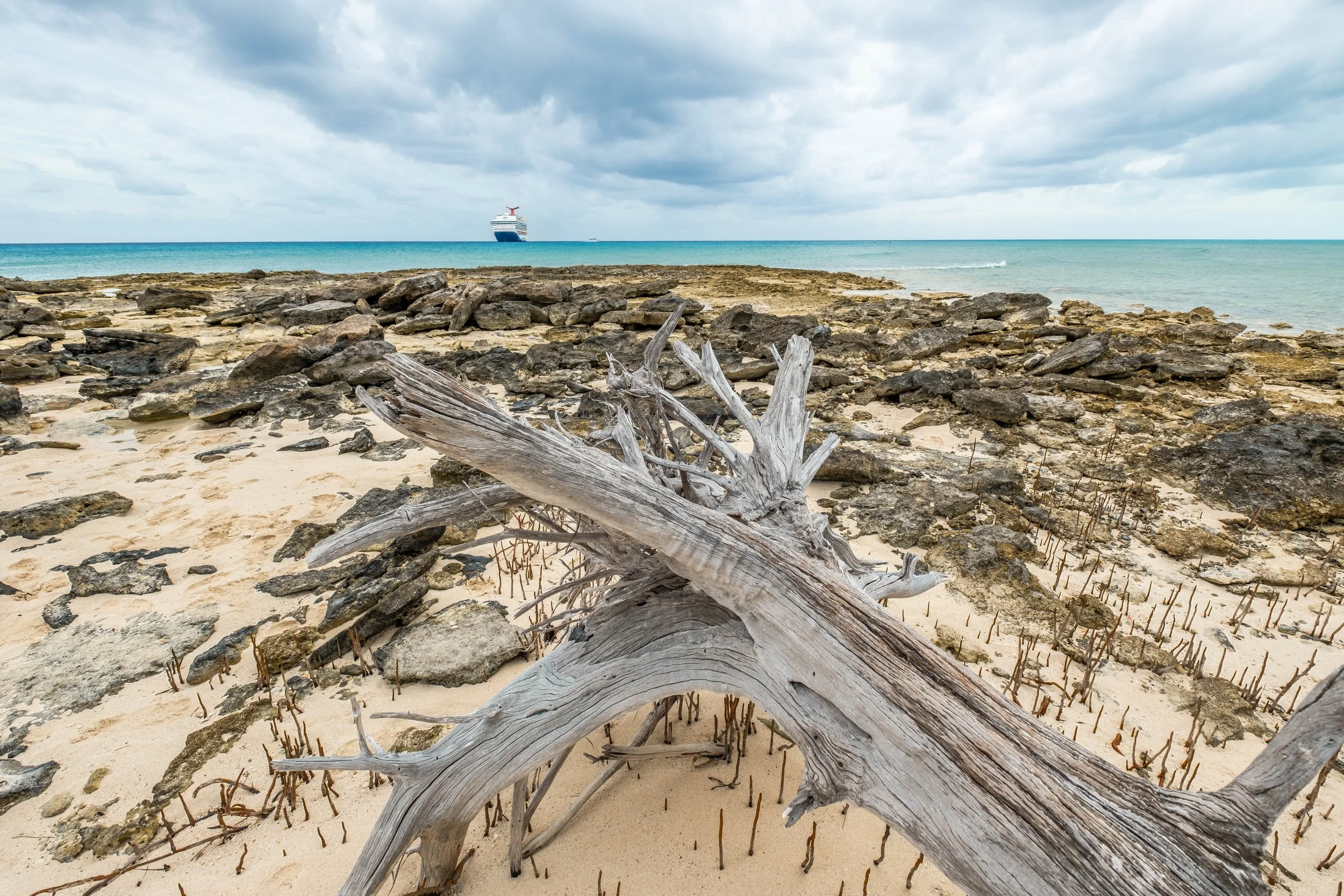 Cruise-JTPhoto--88.jpg