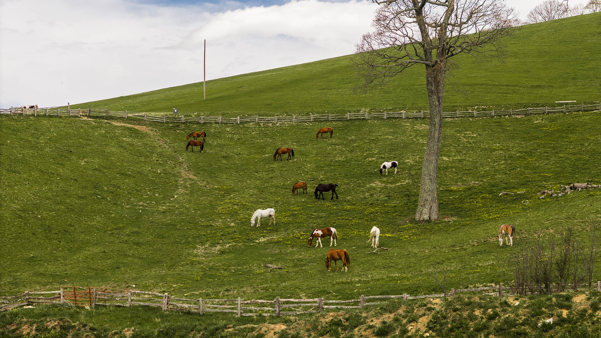 ToyotaCityEscapes-JTPhoto-060.jpg
