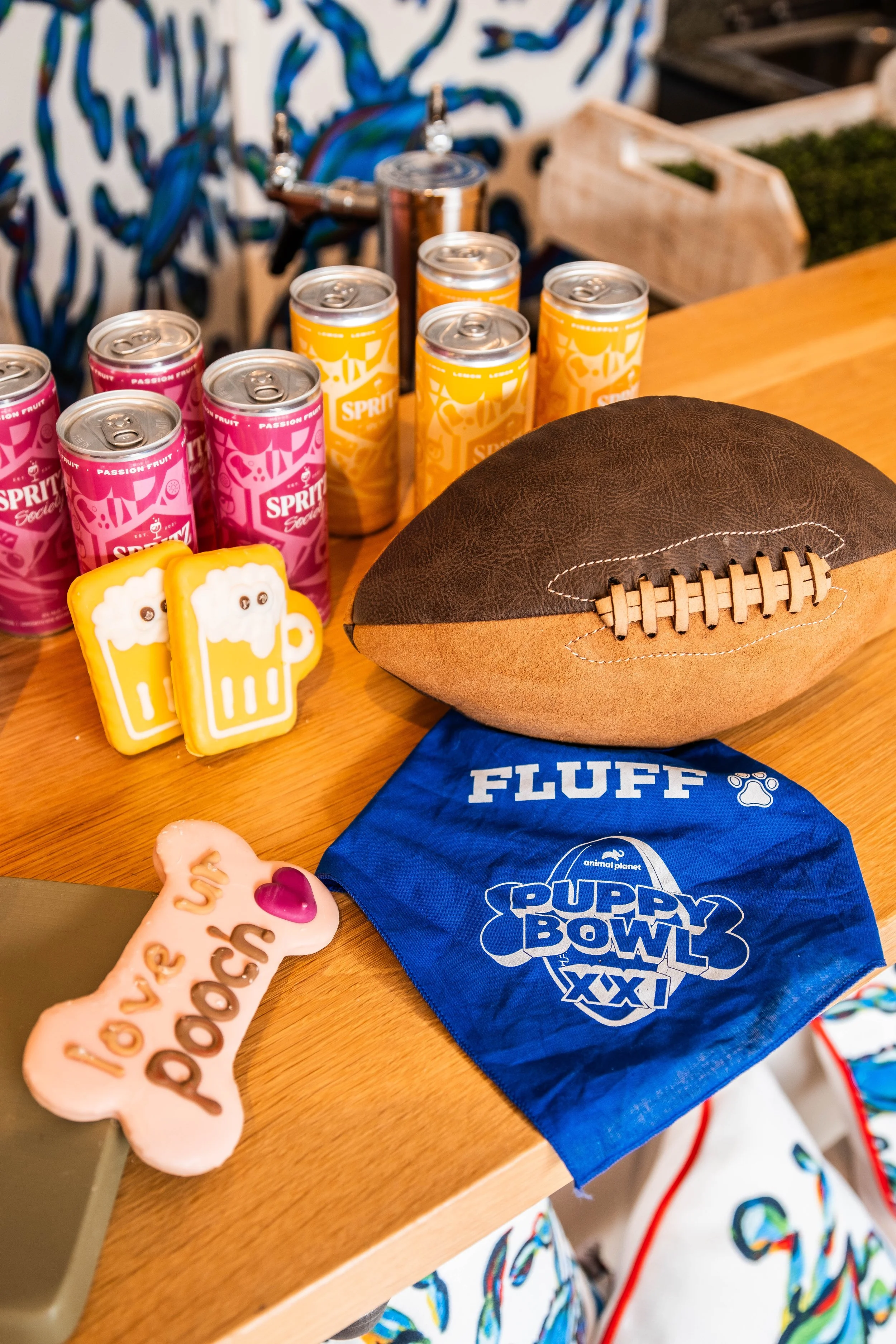 PuppyBowl-JTPhoto-001.jpg