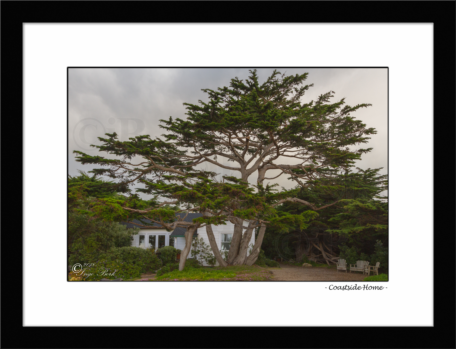 Coastside Home