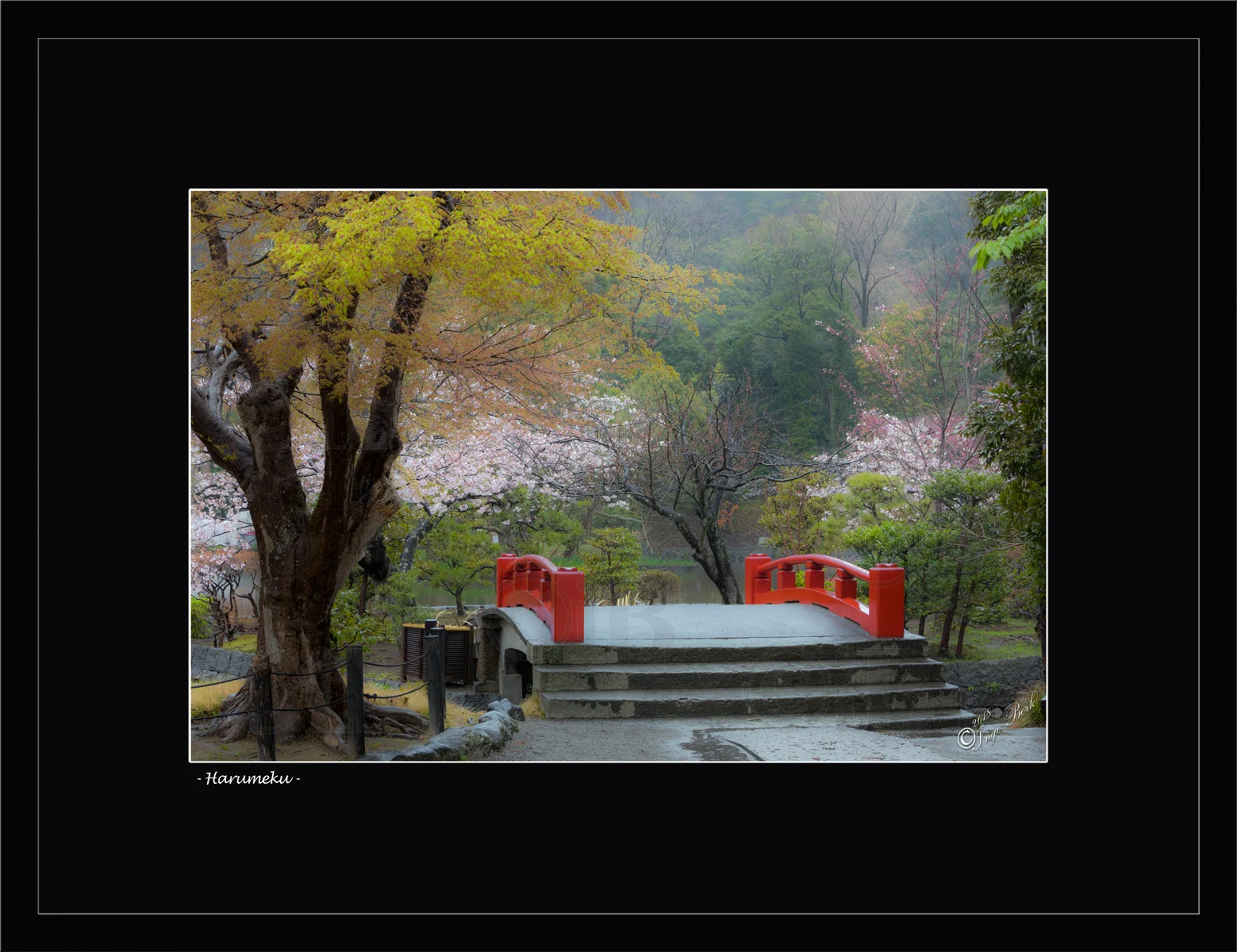 Harumeku - show signs of spring