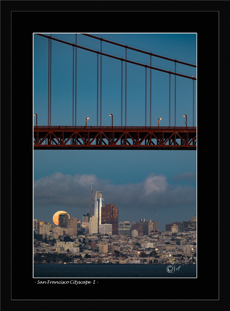 San Francisco Cityscape I