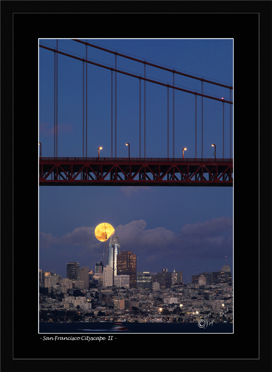 San Francisco Cityscape II