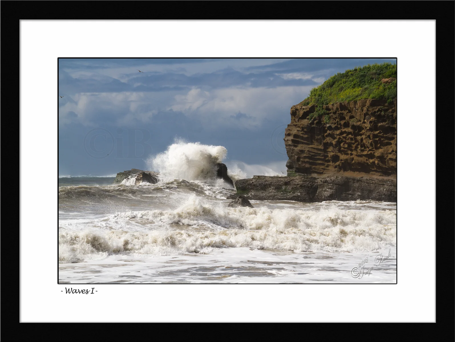 Waves I