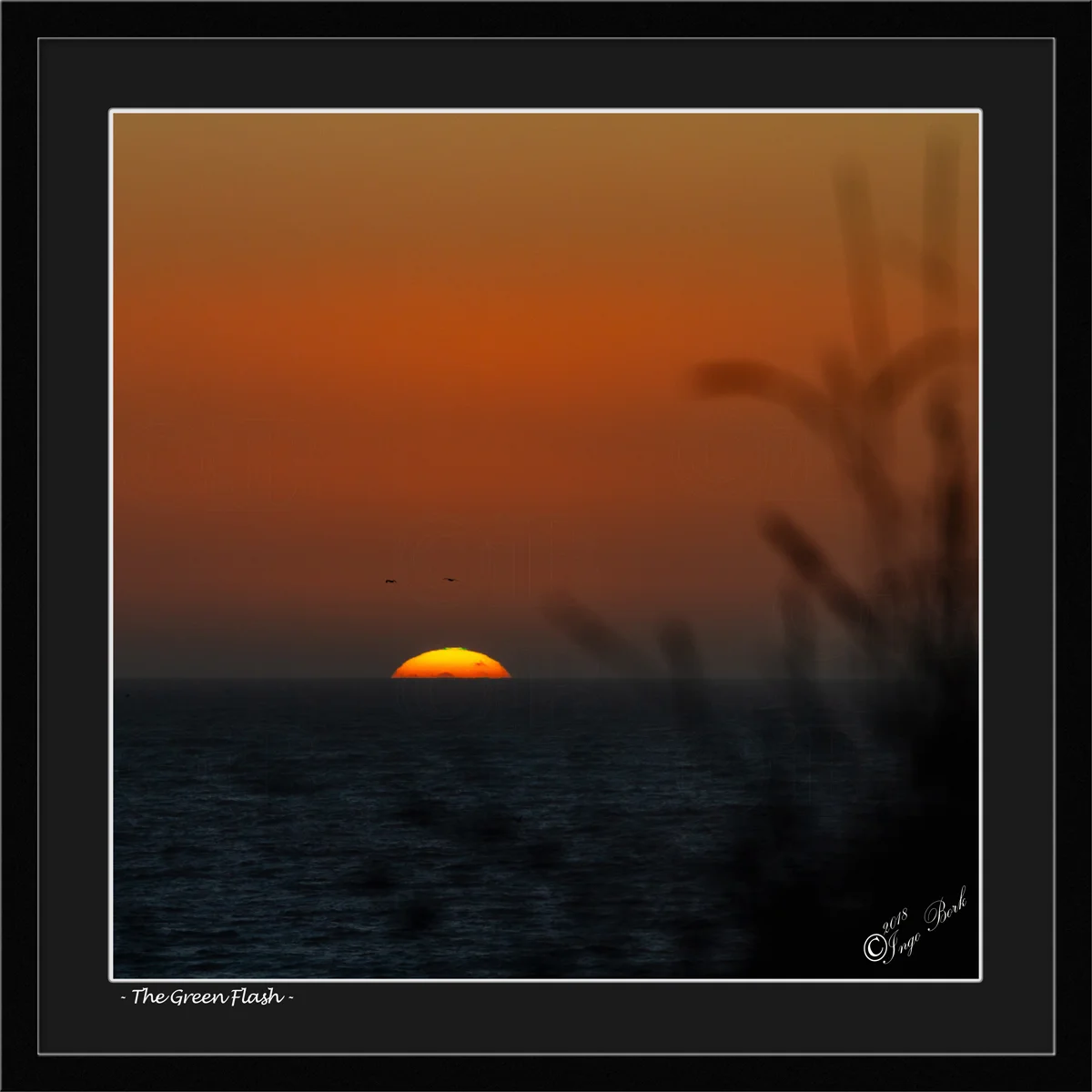 The Green Flash