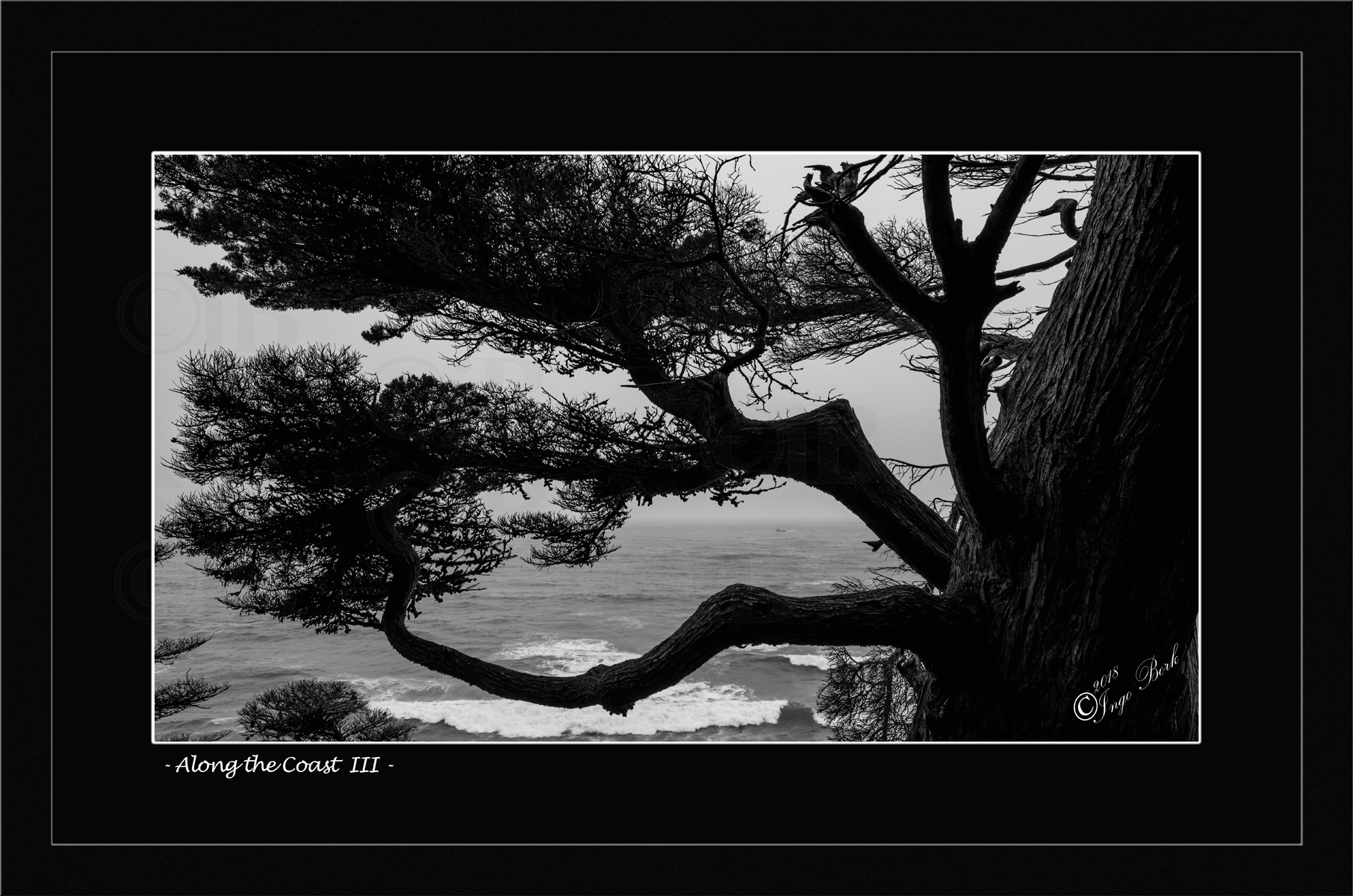 Along the Coast III