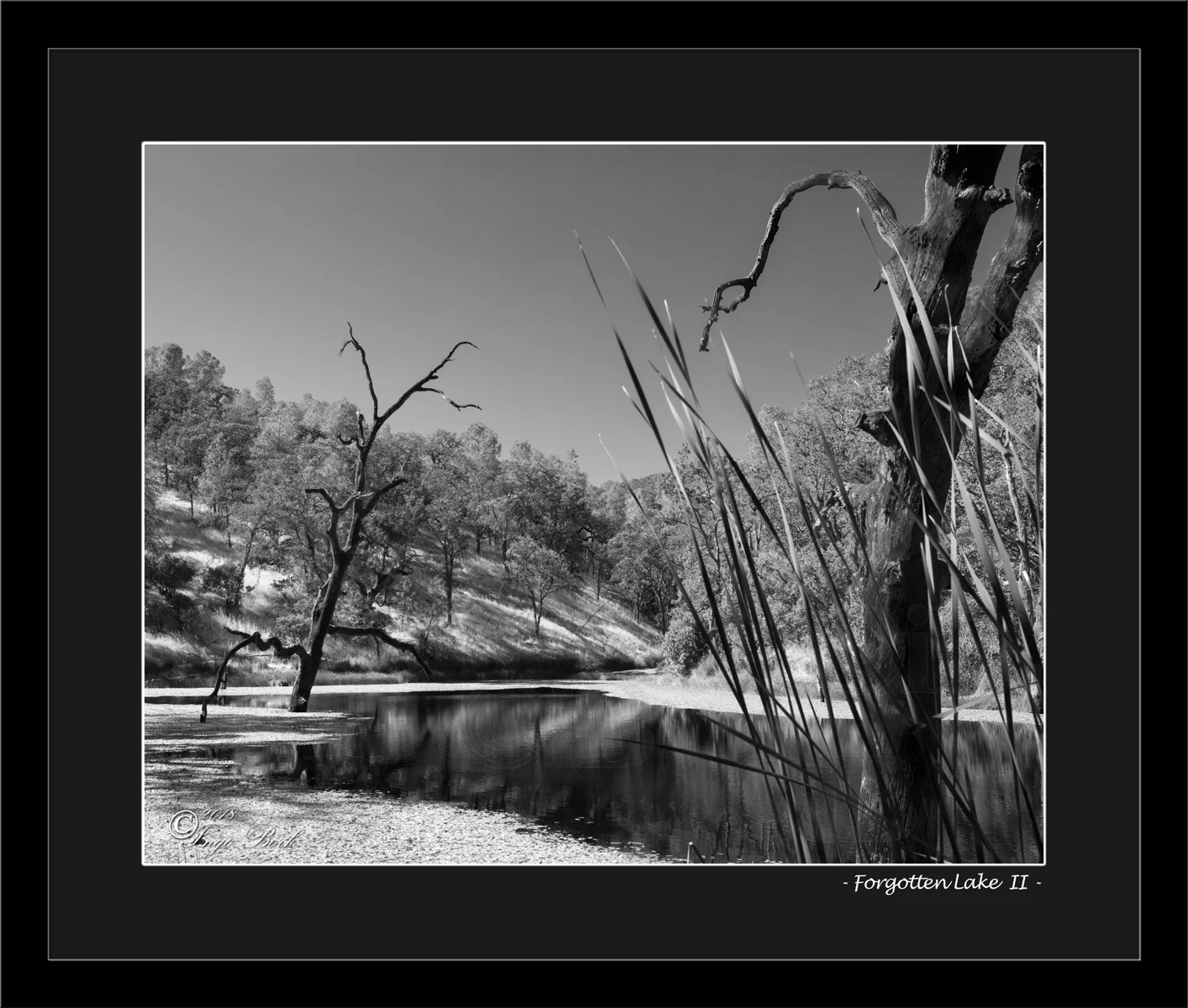 Forgotten Lake II