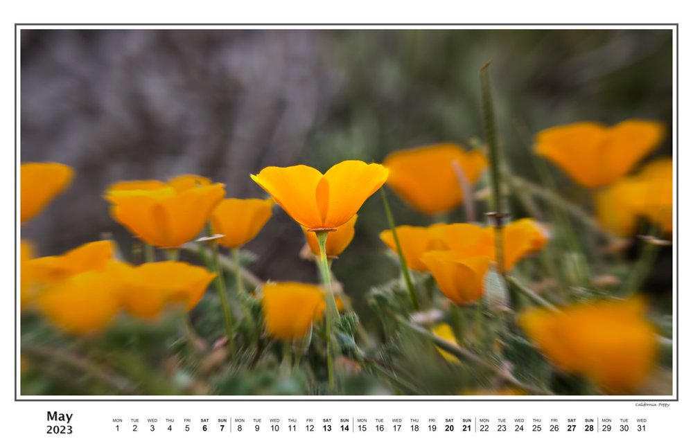 05-May-Calendar-2023.jpeg