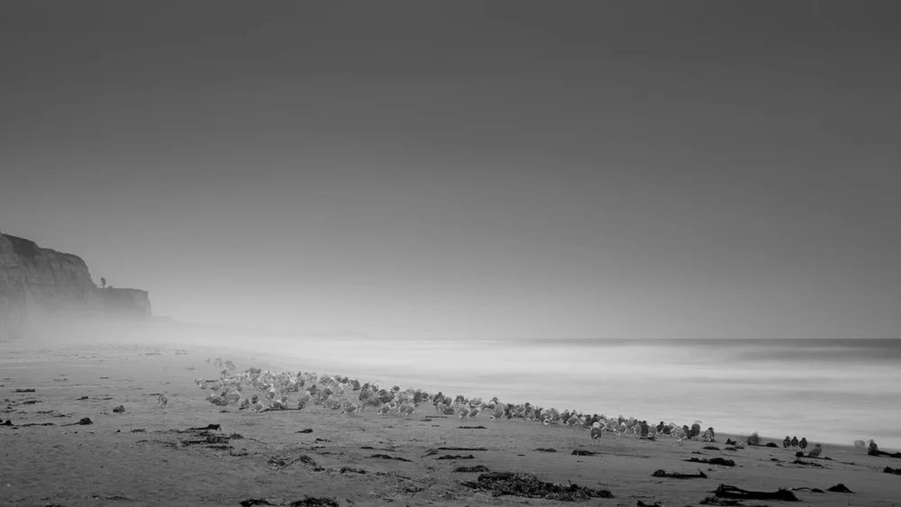 Fog_and_Clouds-10.jpeg