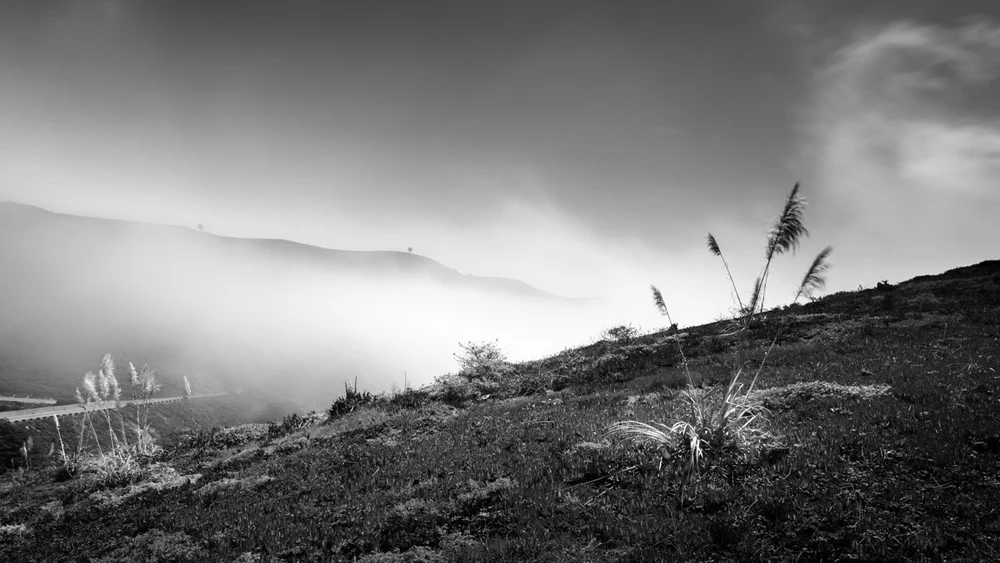 Fog_and_Clouds-14.jpeg