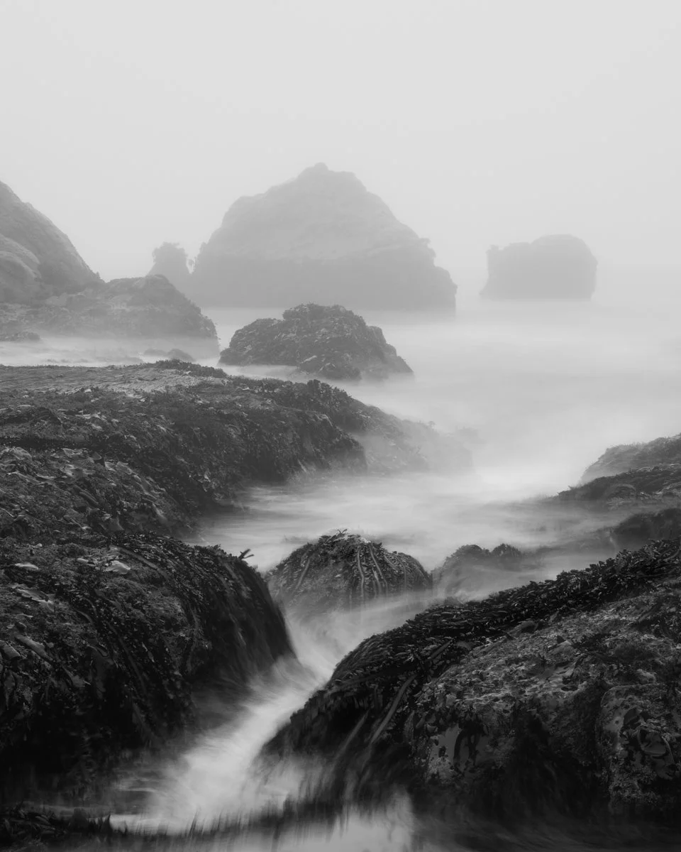 Fog_and_Clouds-15.jpeg