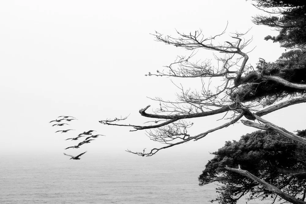 Fog_and_Clouds-16.jpeg