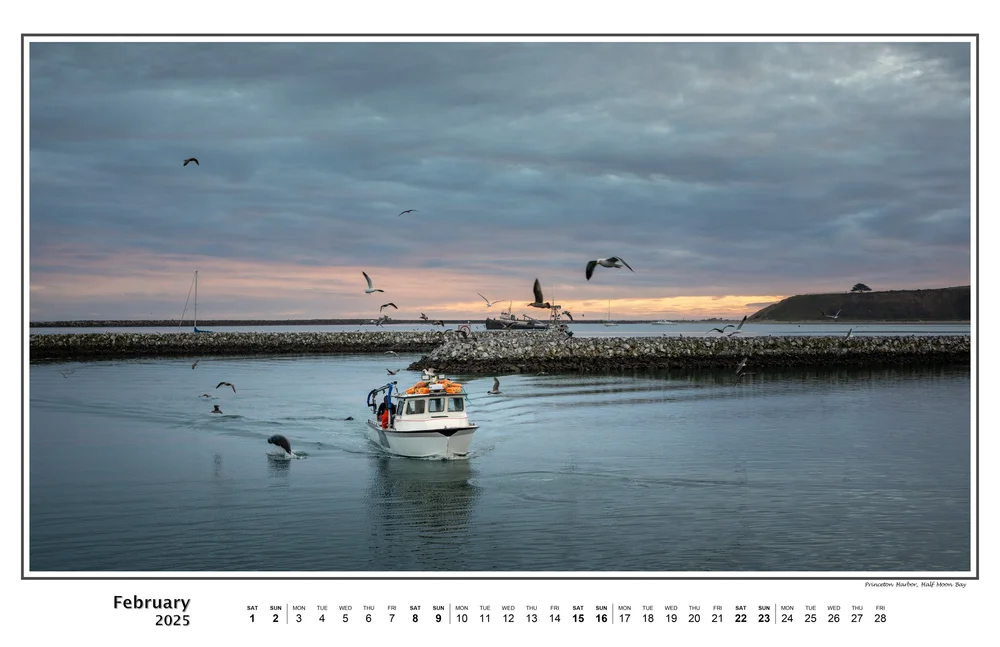 02-February-Calendar-2025.jpeg
