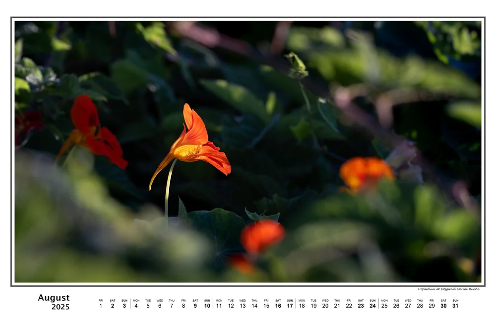 08-August-Calendar-2025.jpeg