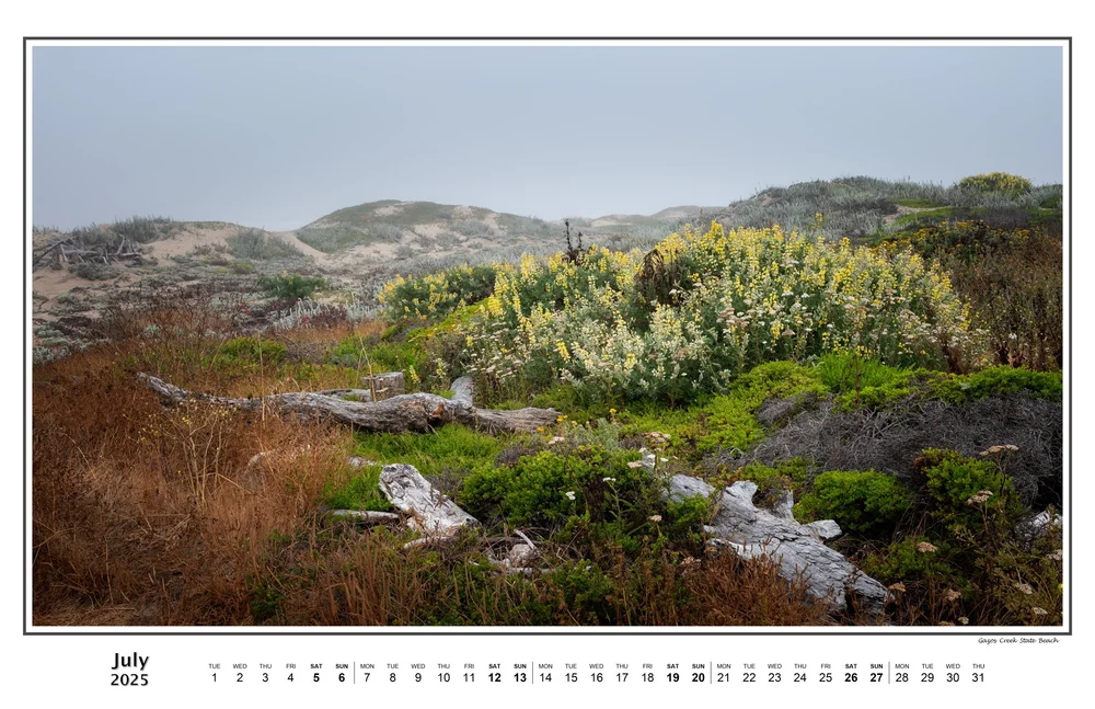 07-July-Calendar-2025.jpeg