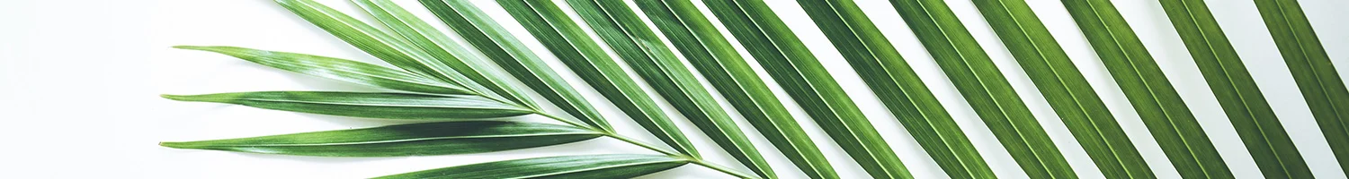 AdobeStock_173444659.jpg