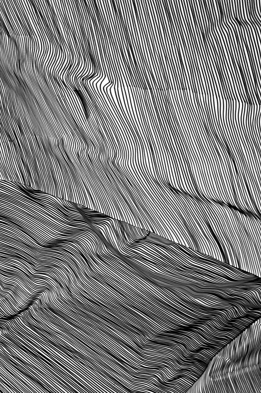 P.P_Detail#2.jpg