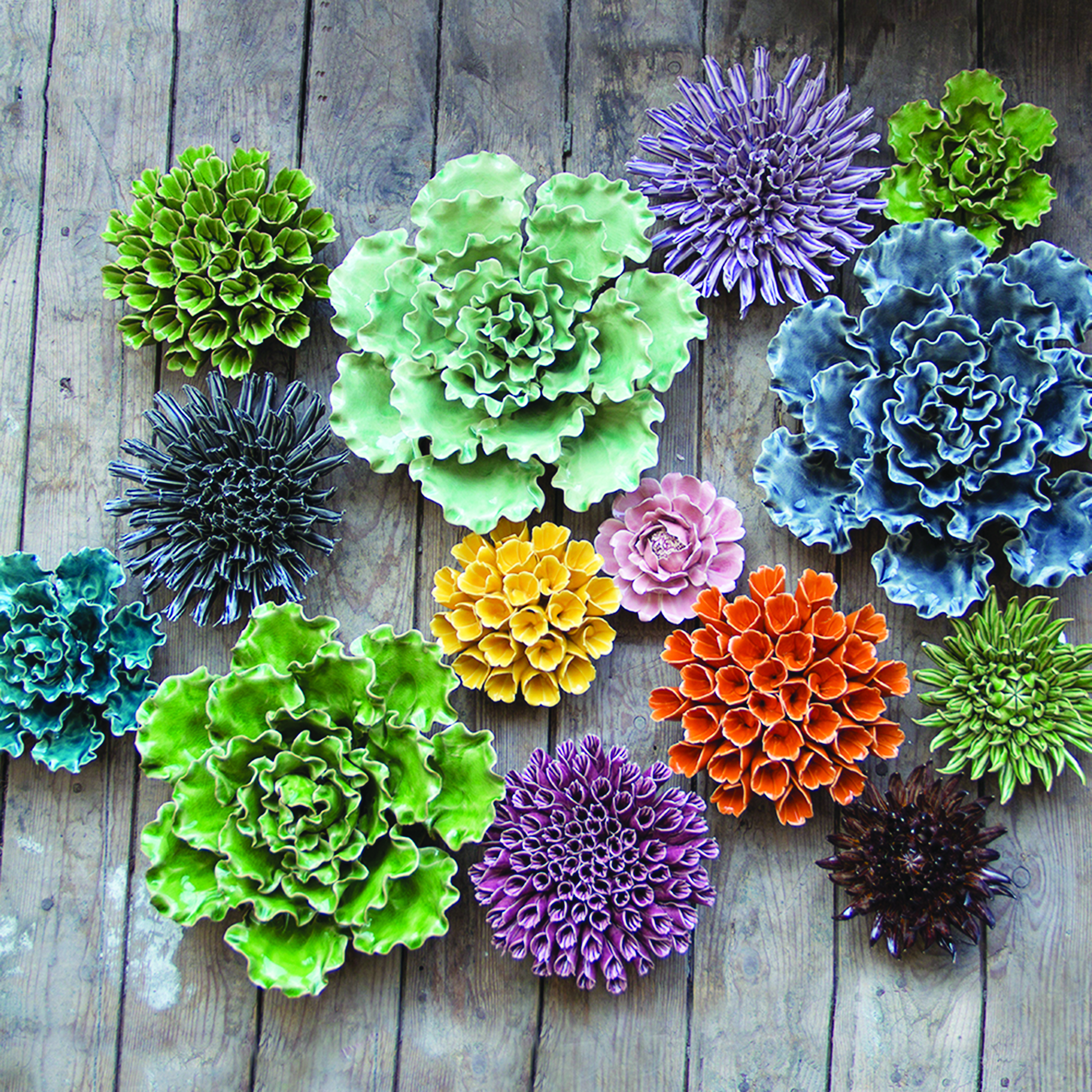 Coral5-group-print.jpg