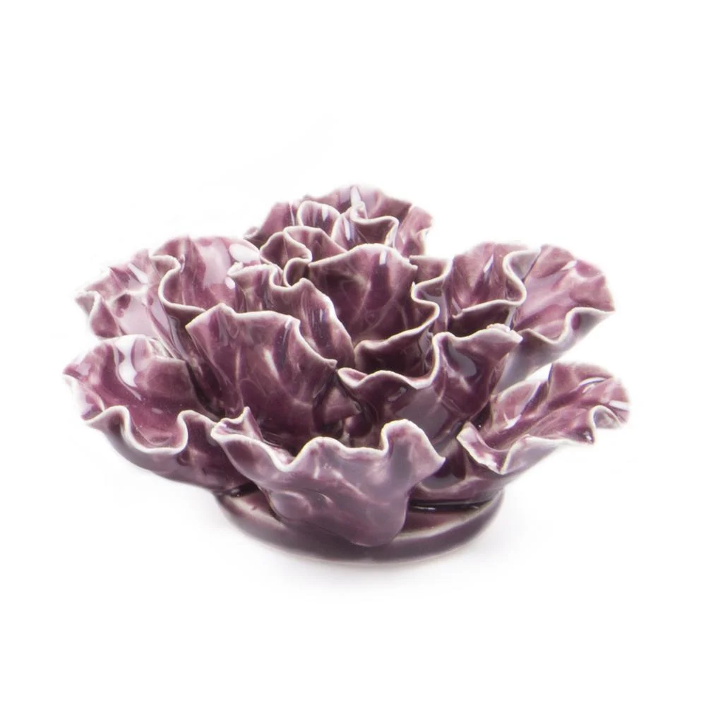 Laura Hodges Studio_Succulent.jpg