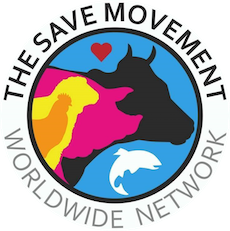 save.png