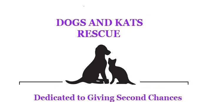 dog and kats rescue.jpg