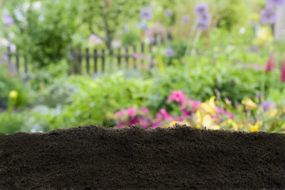 compost.jpg