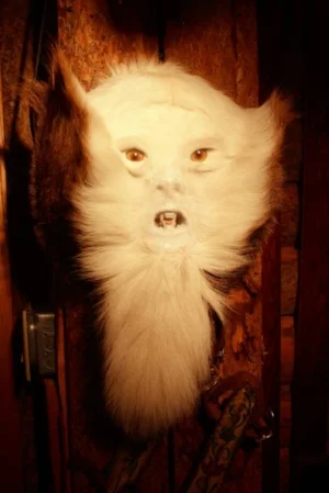 Mountain Monkey – $240.00 + Shipping
